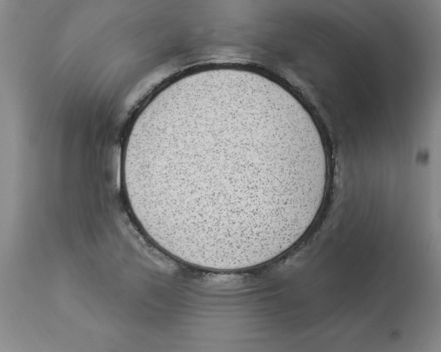 X0000112861171200909181753