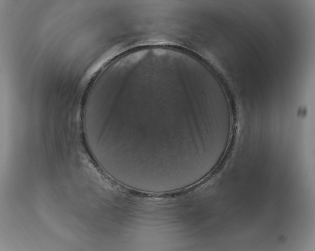 X0000112861173200909181753