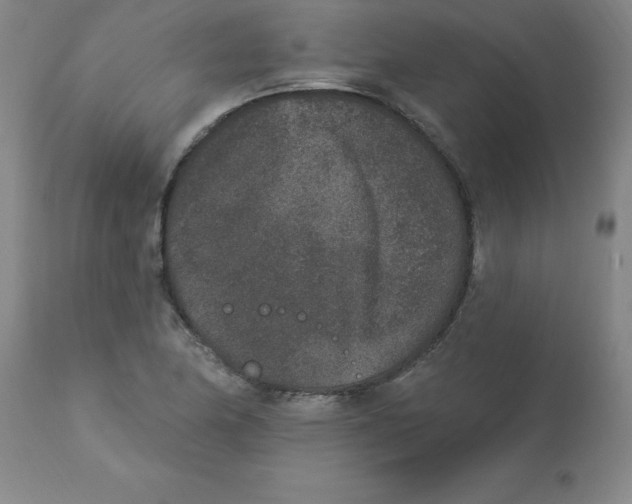 X0000112861174200909181753