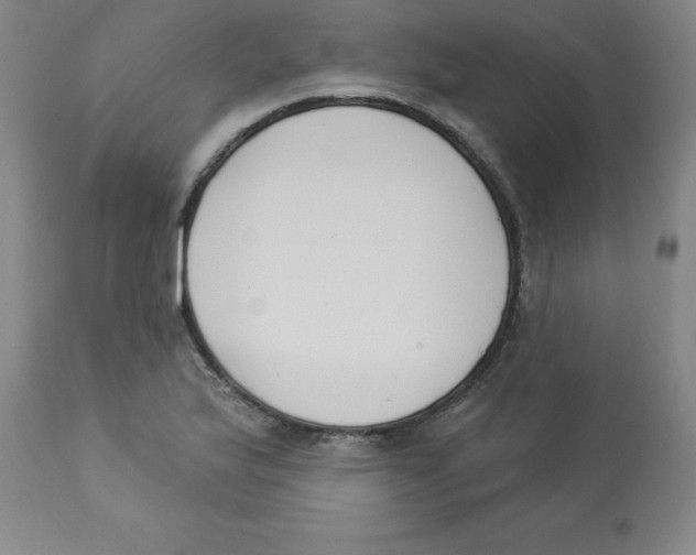 X0000112861175200909181753