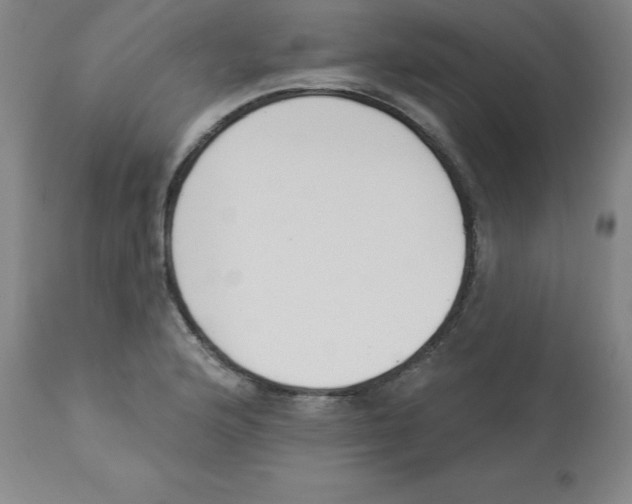 X0000112861176200909181753