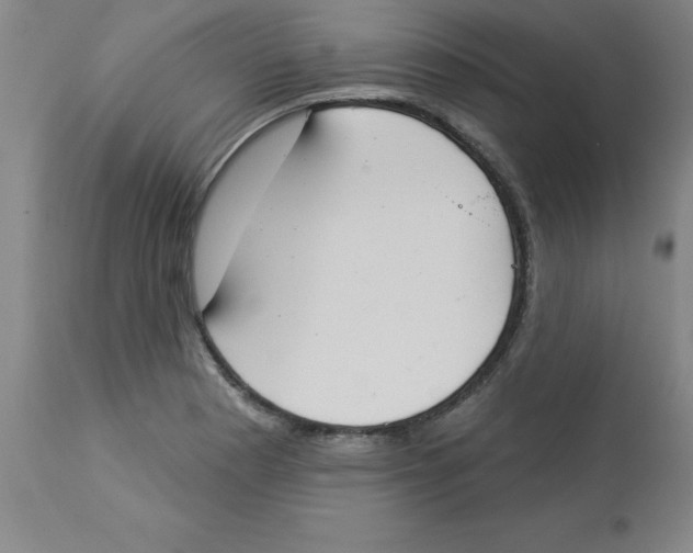 X0000112861177200909181753