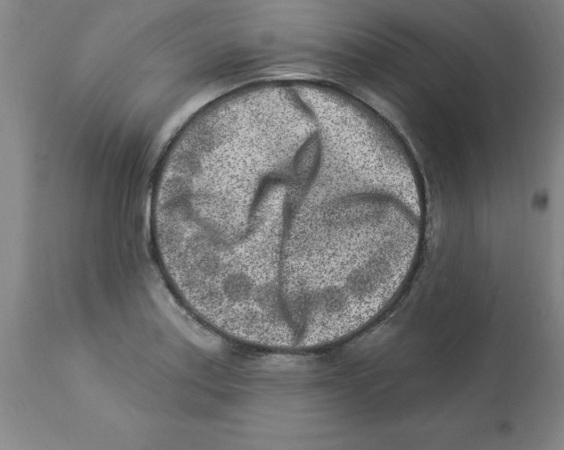 X0000112861179200909181753