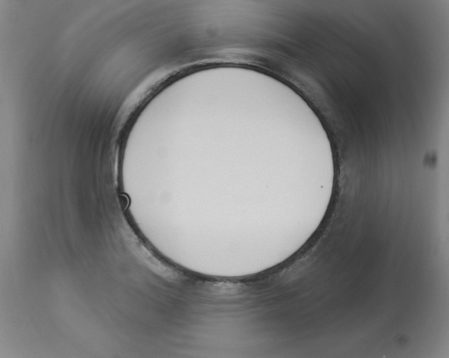 X0000112861180200909181753