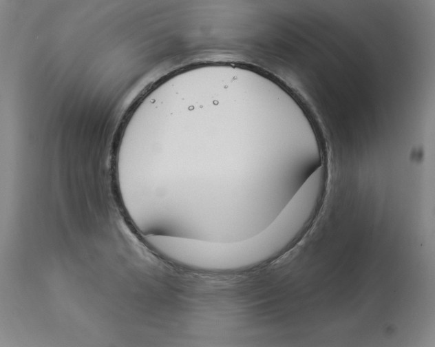 X0000112861181200909181753