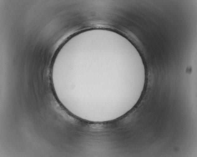 X0000112861182200909181753