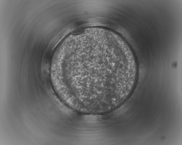 X0000112861185200909181753