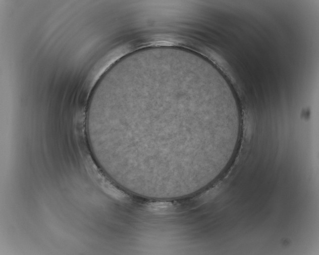 X0000112861186200909181753