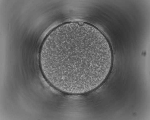 X0000112861189200909181753