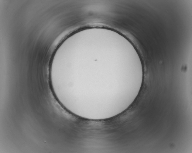 X0000112861191200909181753