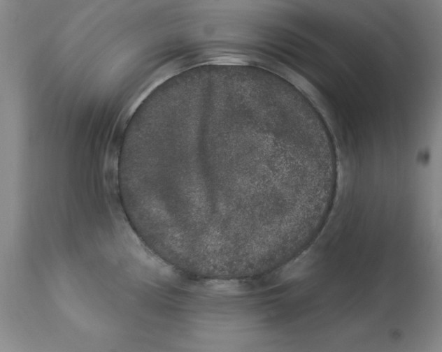 X0000112861194200909181753