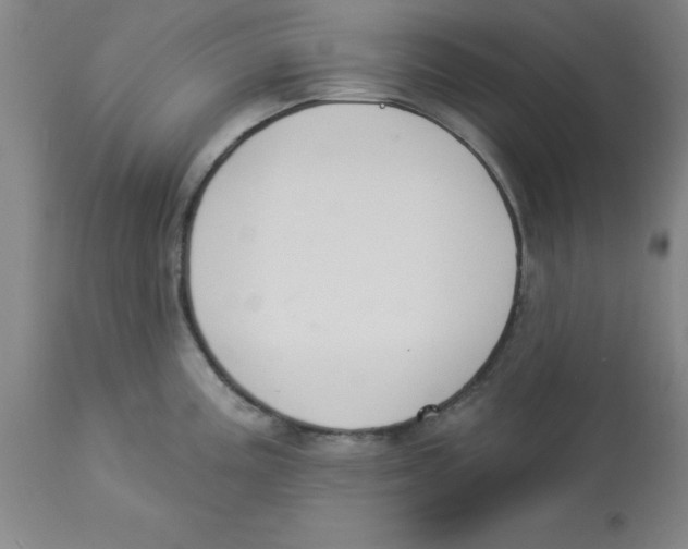 X0000112861195200909181753