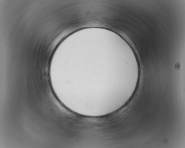 X0000112861197200909181753