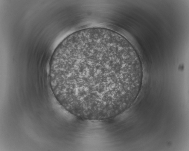 X0000112861198200909181753