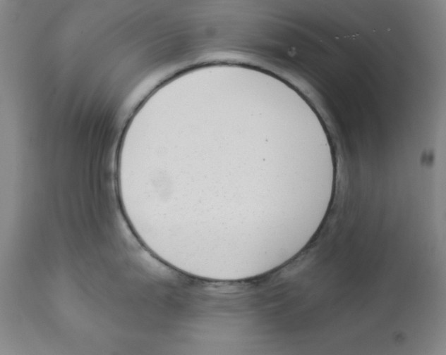 X0000112861199200909181753