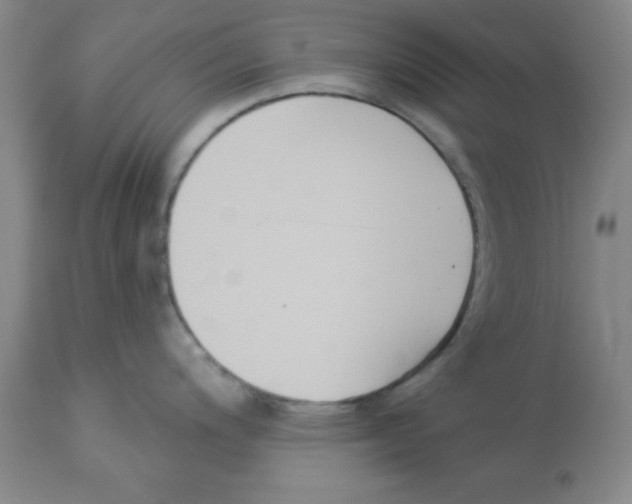 X0000112861200200909181753