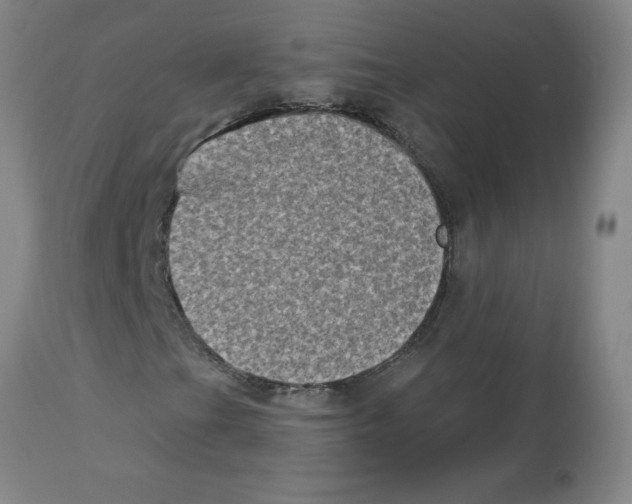 X0000112861201200909181752