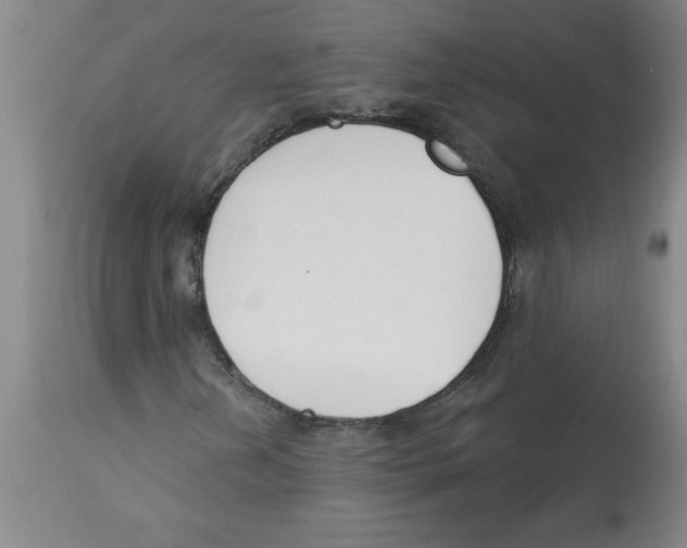 X0000112861202200909181752