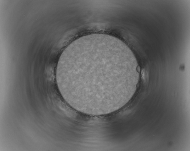 X0000112861203200909181752