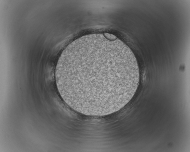 X0000112861204200909181752