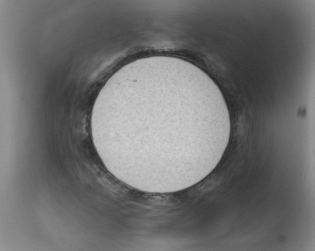 X0000112861205200909181752