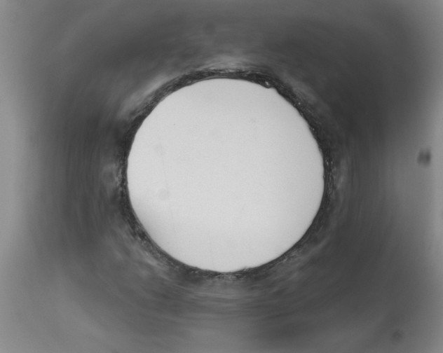 X0000112861206200909181752