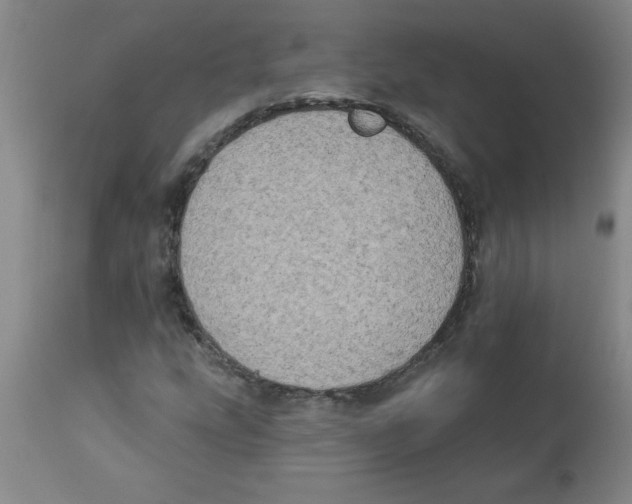 X0000112861207200909181752