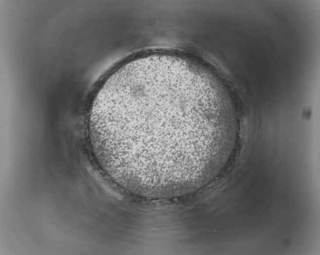 X0000112861208200909181752