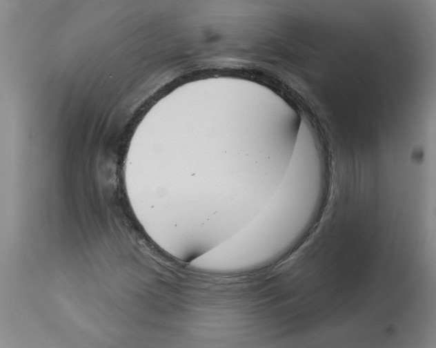 X0000112861209200909181752