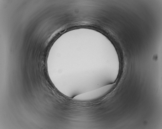 X0000112861210200909181752