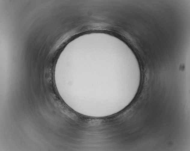 X0000112861211200909181752