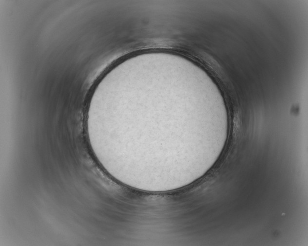 X0000112861212200909181752