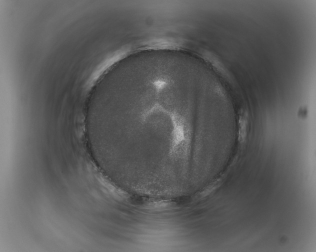 X0000112861213200909181752