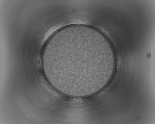 X0000112861215200909181752