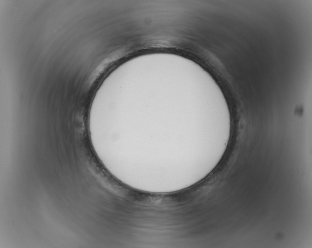 X0000112861218200909181752