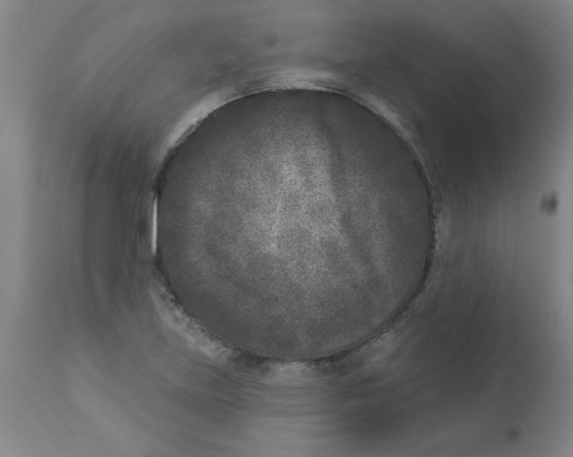 X0000112861219200909181752