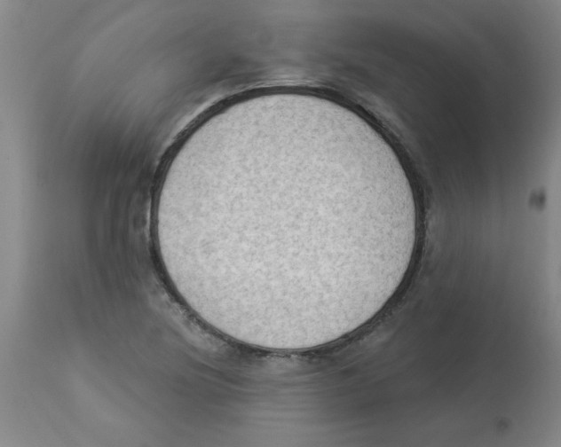 X0000112861220200909181752