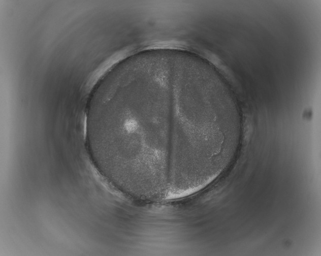 X0000112861221200909181752