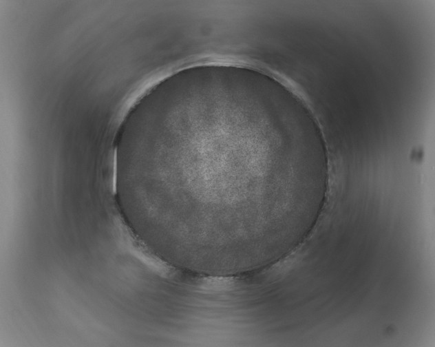 X0000112861223200909181752