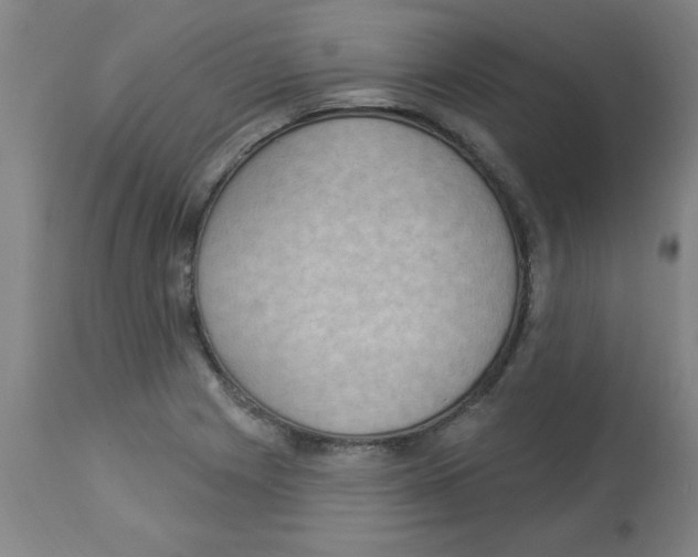 X0000112861225200909181752