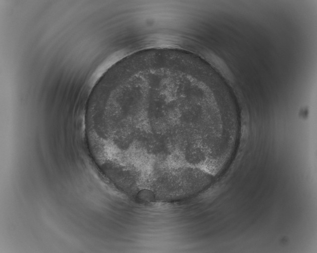 X0000112861226200909181752