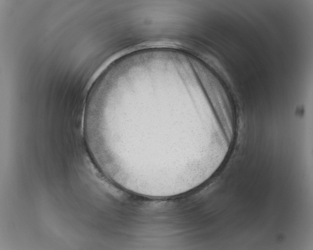 X0000112861228200909181752