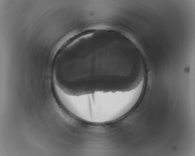 X0000112861229200909181752