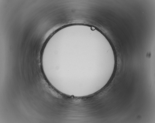 X0000112861230200909181752