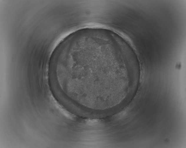 X0000112861231200909181752