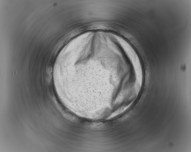 X0000112861233200909181752