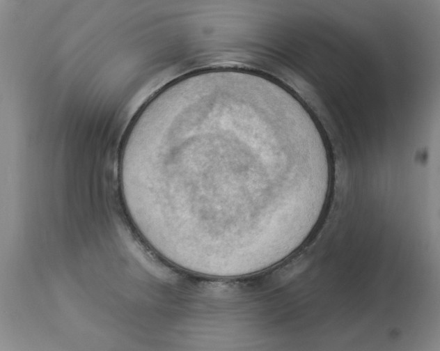 X0000112861234200909181752