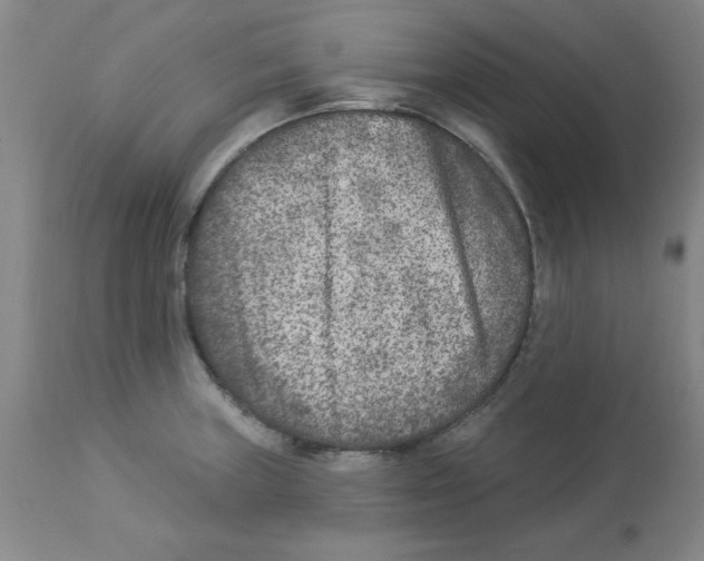 X0000112861235200909181753