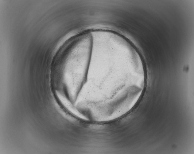 X0000112861237200909181753