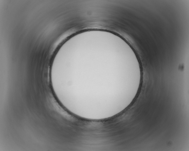 X0000112861238200909181753